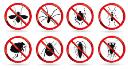 Pest Express Pest Control logo